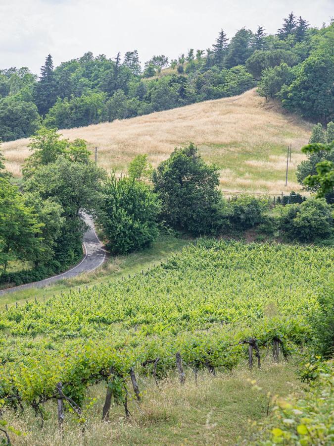 Fattorie Di Montechiaro Villa Sasso Marconi Dış mekan fotoğraf